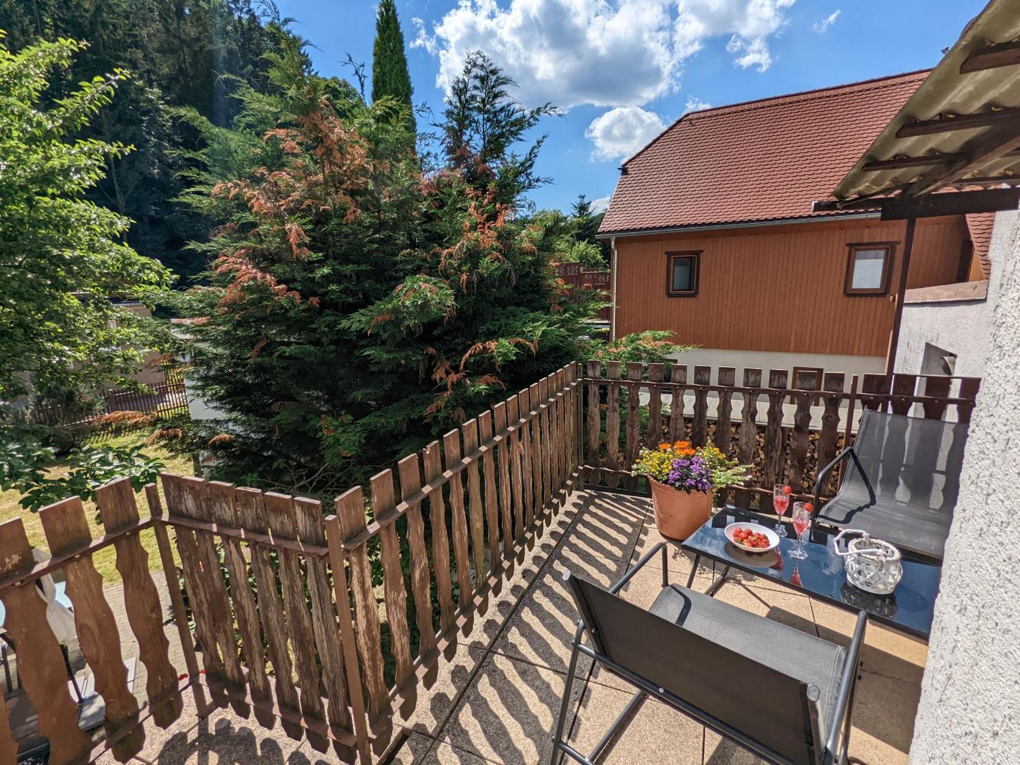 H2 - Urlaubsmagie - Garten, Pool, Terrasse, Grill Sebnitz Ngoại thất bức ảnh