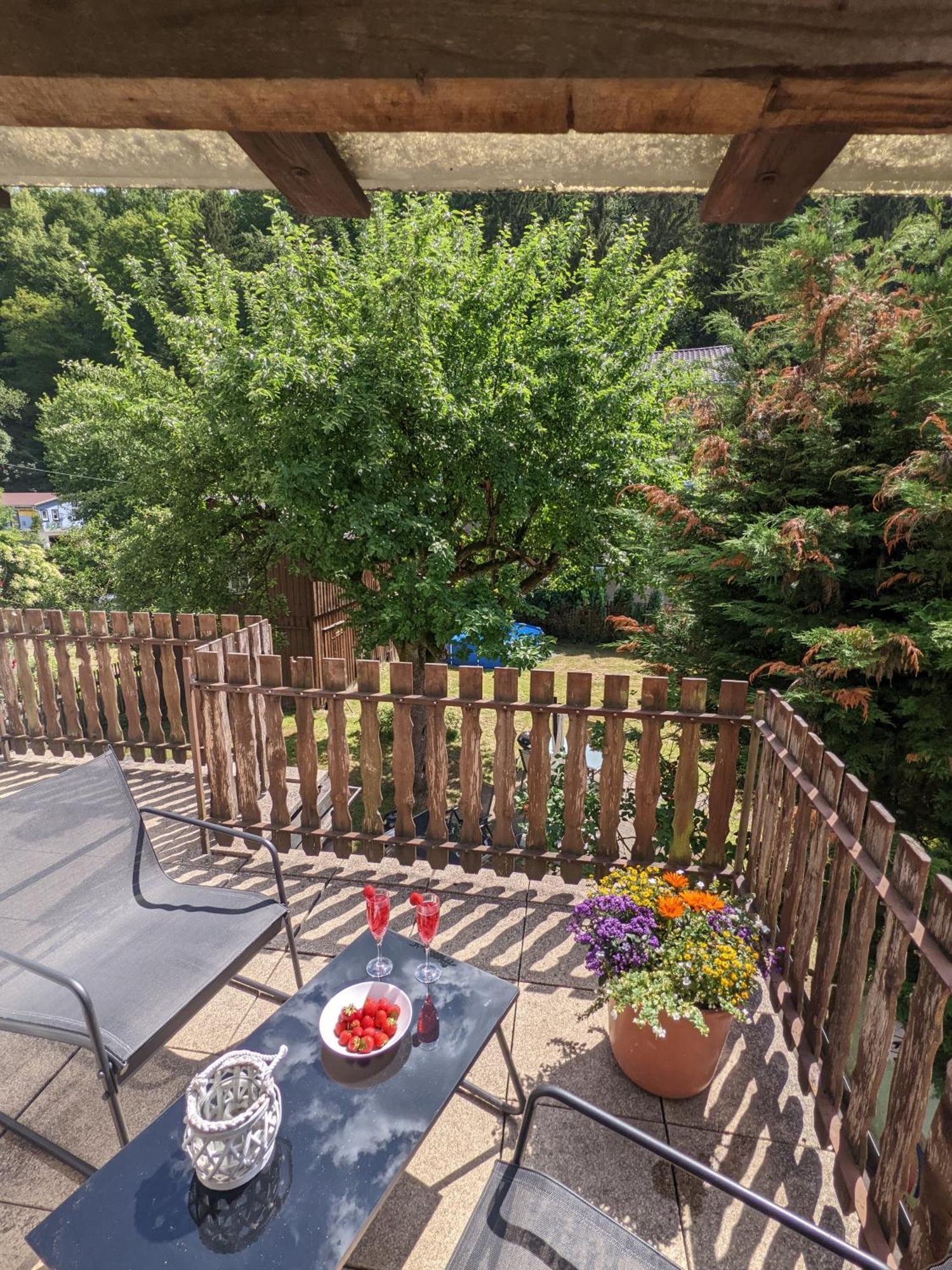H2 - Urlaubsmagie - Garten, Pool, Terrasse, Grill Sebnitz Ngoại thất bức ảnh